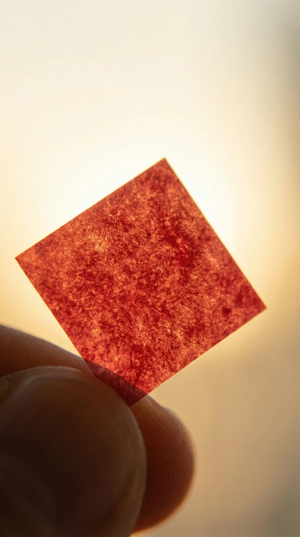 A paper-thin red Energy Strip held between fingertips in daylight