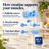How creatine supports your muscles — phosphocreatine and ATP
